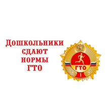 Сдали нормы ГТО Сдали нормы ГТО.